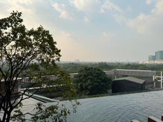 Rooftop pool with scenic city view