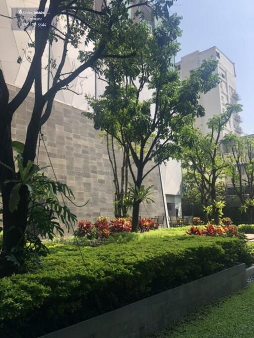 Outdoor garden area with greenery and buildings in background