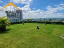 Spacious rooftop garden with city view