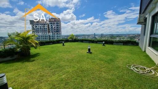 Spacious rooftop garden with city view