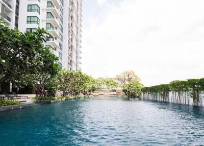 View of a swimming pool in an apartment complex with surrounding greenery