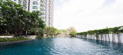 View of a swimming pool in an apartment complex with surrounding greenery