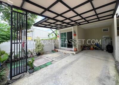 Covered outdoor area with plants and a storage space