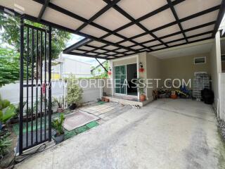 Covered outdoor area with plants and a storage space