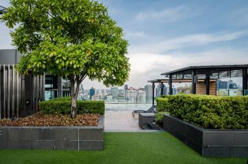 Scenic rooftop garden with city view