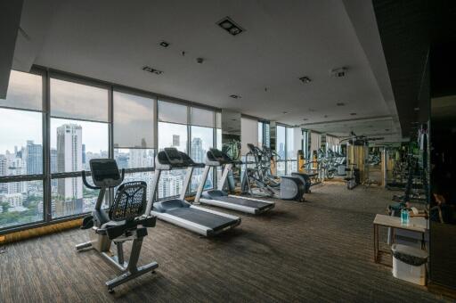 Spacious gym with modern equipment overlooking cityscape