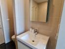 Modern bathroom with sink and wall-mounted mirror