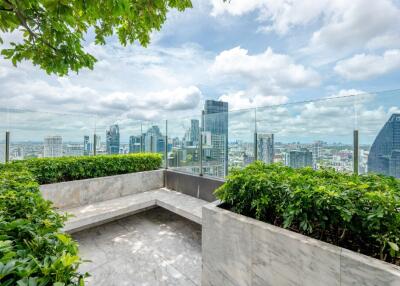 Rooftop garden with city skyline view