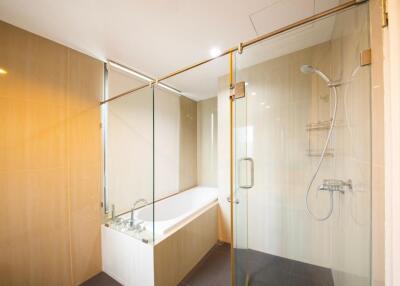 Modern bathroom with bathtub and glass-enclosed shower