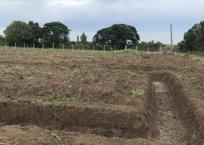 Freshly prepared land ready for construction or agriculture