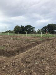 Vacant agricultural land with trees and fencing