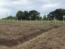 Vacant agricultural land with trees and fencing