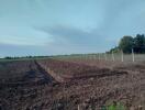 Farmland with visible plowing and fencing