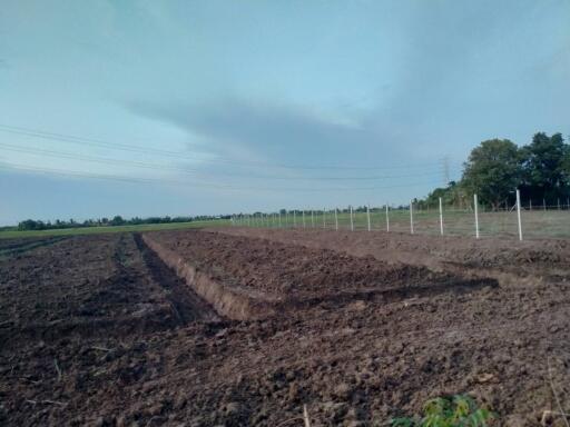 Farmland with visible plowing and fencing