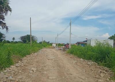 Dirt road leading through a grassy field