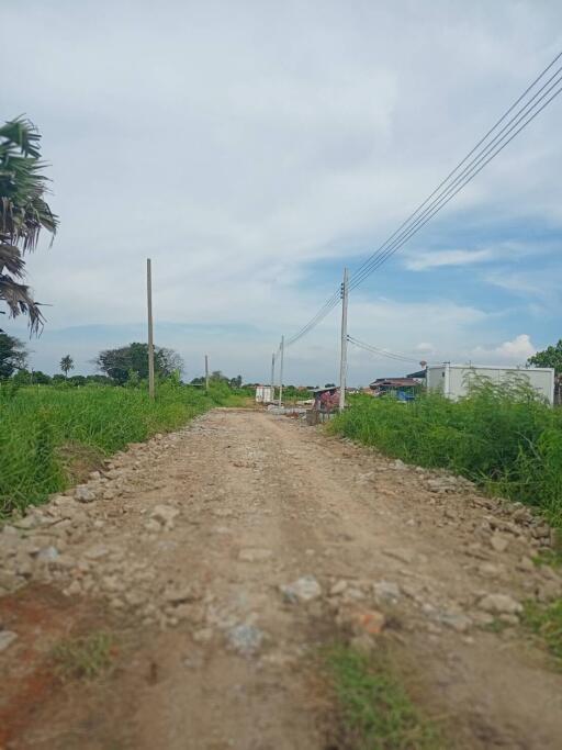 Dirt road leading through a grassy field