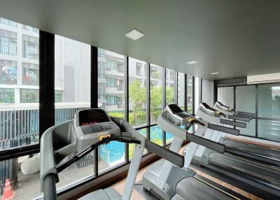 Modern gym with multiple treadmills and large windows