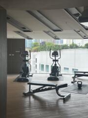 Modern gym with exercise equipment including elliptical machines and free weights