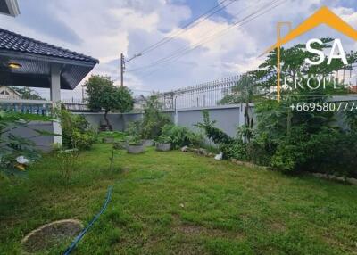 Spacious backyard garden with lawn and plants