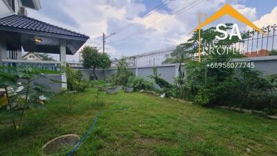 Spacious backyard garden with lawn and plants