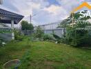 Spacious backyard garden with lawn and plants