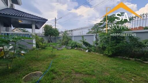 Spacious backyard garden with lawn and plants