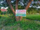 plot of land for sale sign on a tree