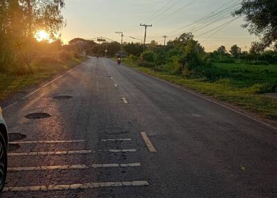 Sunset view with a road and surrounding greenery