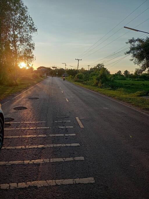 Sunset view with a road and surrounding greenery