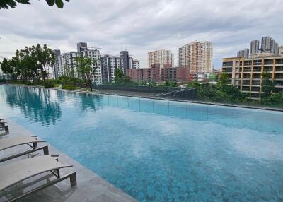 Rooftop swimming pool with cityscape view