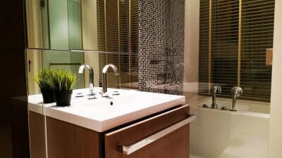 Modern bathroom with vanity sink, bathtub, and indoor plant