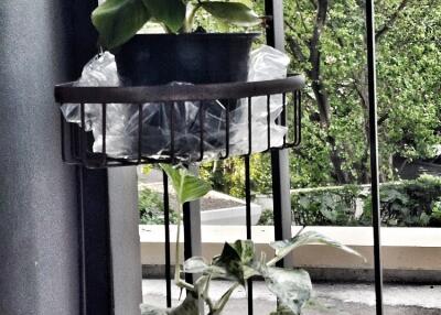 Balcony with railing and potted plants