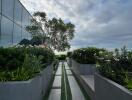 Modern outdoor garden walkway with lush greenery and reflective glass building