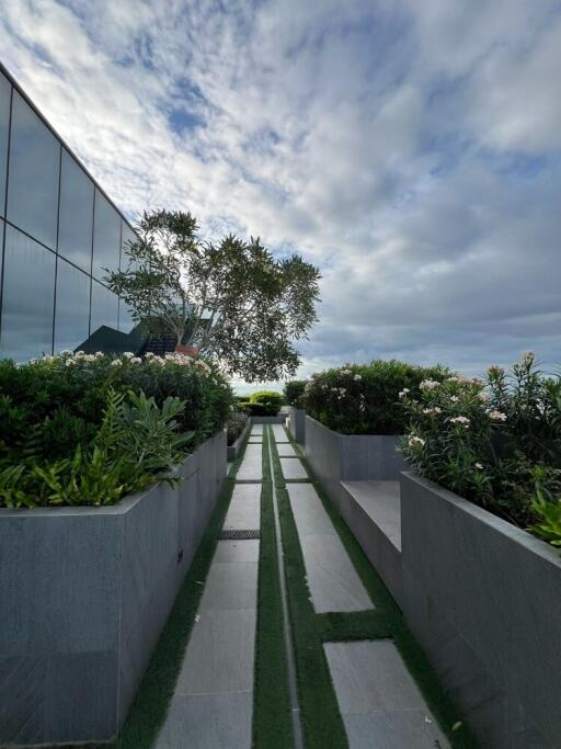 Modern outdoor garden walkway with lush greenery and reflective glass building