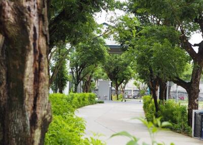 Walkway lined with trees and greenery