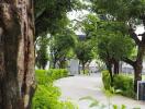 Walkway lined with trees and greenery