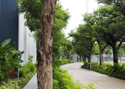 Well-maintained pathway with trees and greenery