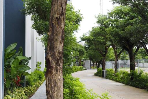 Well-maintained pathway with trees and greenery