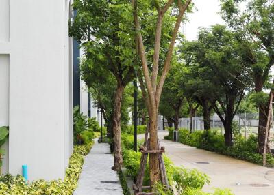 Exterior pathway with greenery