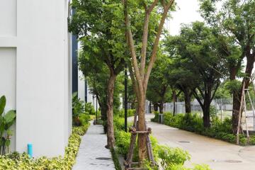 Exterior pathway with greenery