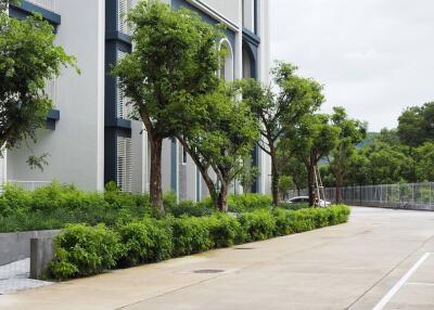 Modern building exterior with landscaped greenery