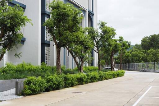 Modern building exterior with landscaped greenery