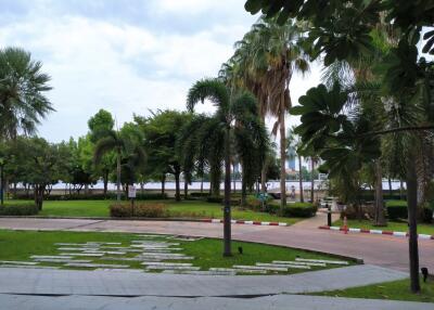 Scenic outdoor view with lush greenery and pathway