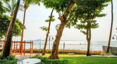 Seaside garden with trees and ocean view