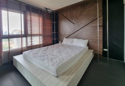 Modern bedroom with wooden accent wall and large windows