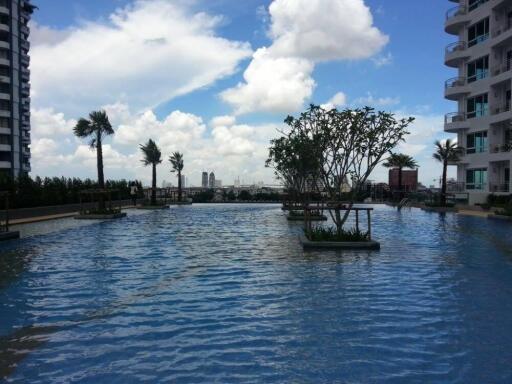 Swimming pool with surrounding high-rise buildings