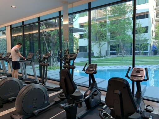 Modern gym with large windows overlooking a pool