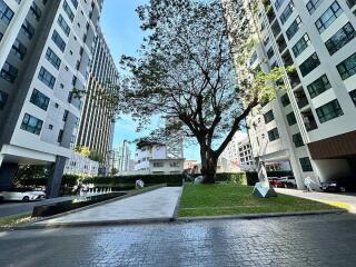 Outdoor area of residential buildings with greenery and trees