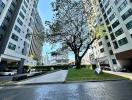 Outdoor area of residential buildings with greenery and trees