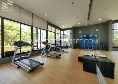 Well-equipped indoor gym with treadmills and exercise balls